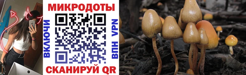 Галлюциногенные грибы Magic Shrooms  Томилино 